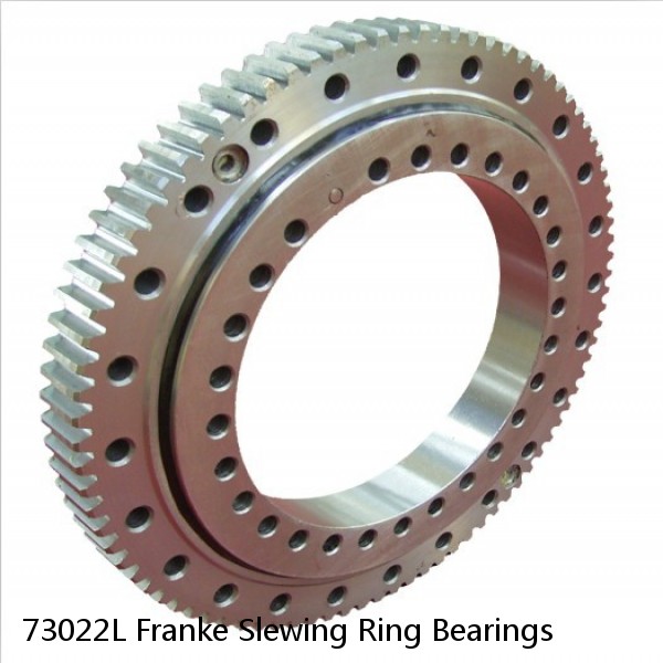 73022L Franke Slewing Ring Bearings