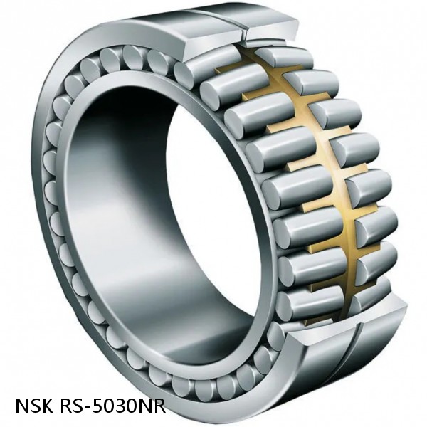 RS-5030NR NSK CYLINDRICAL ROLLER BEARING