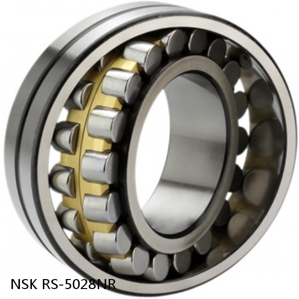 RS-5028NR NSK CYLINDRICAL ROLLER BEARING