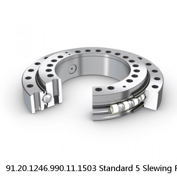 91.20.1246.990.11.1503 Standard 5 Slewing Ring Bearings