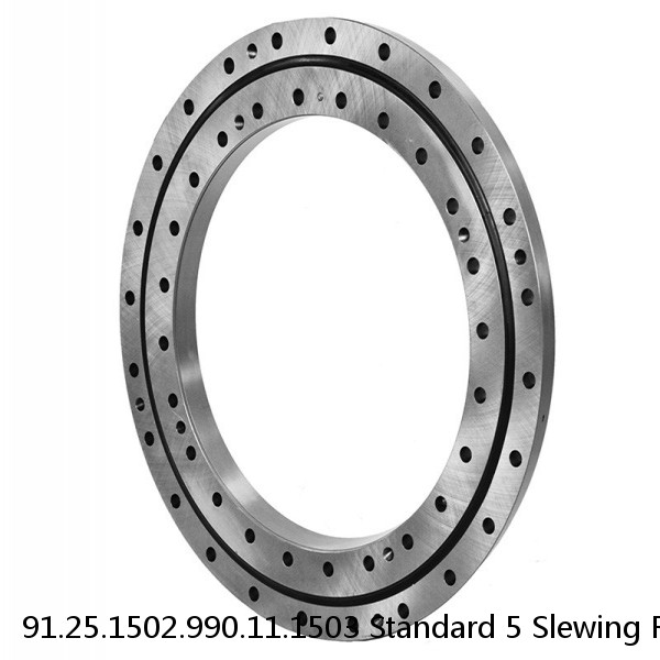 91.25.1502.990.11.1503 Standard 5 Slewing Ring Bearings