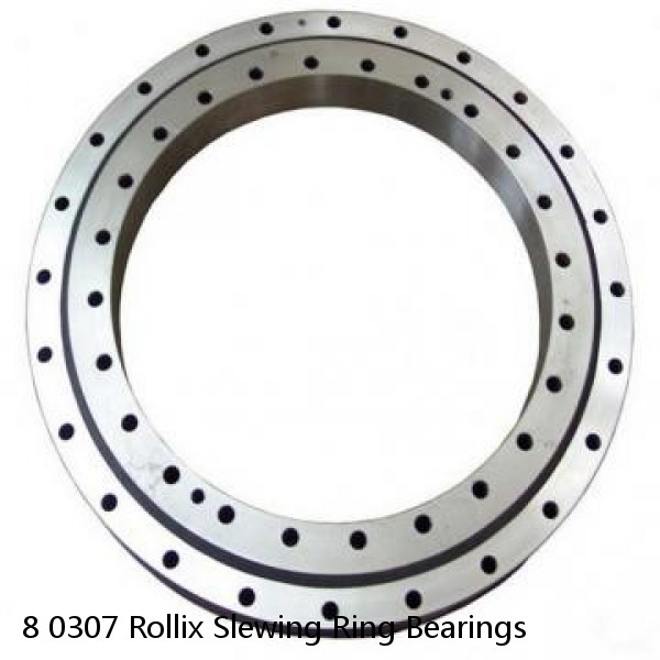 8 0307 Rollix Slewing Ring Bearings