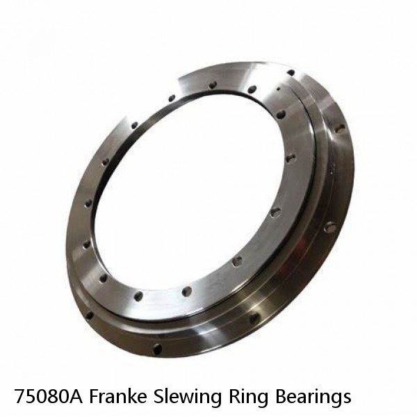 75080A Franke Slewing Ring Bearings