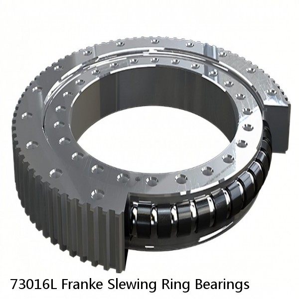 73016L Franke Slewing Ring Bearings