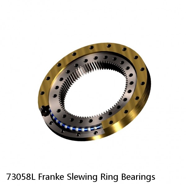 73058L Franke Slewing Ring Bearings