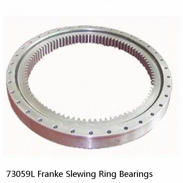 73059L Franke Slewing Ring Bearings