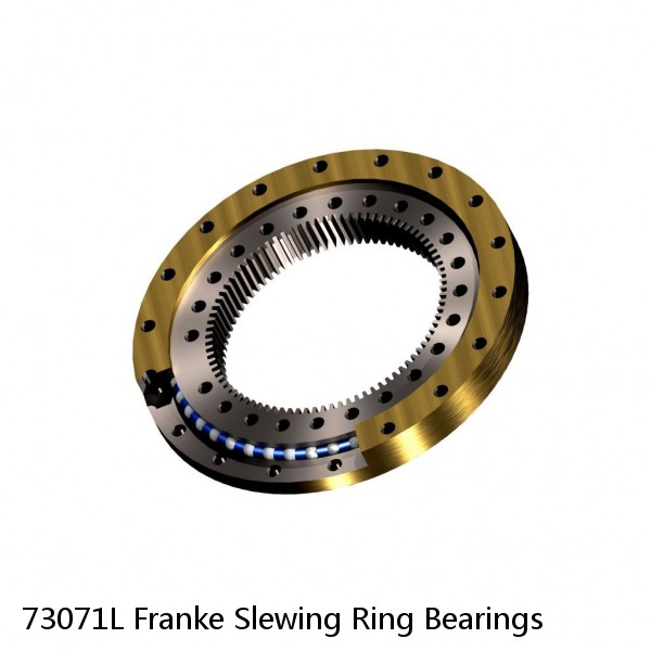 73071L Franke Slewing Ring Bearings