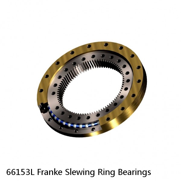 66153L Franke Slewing Ring Bearings