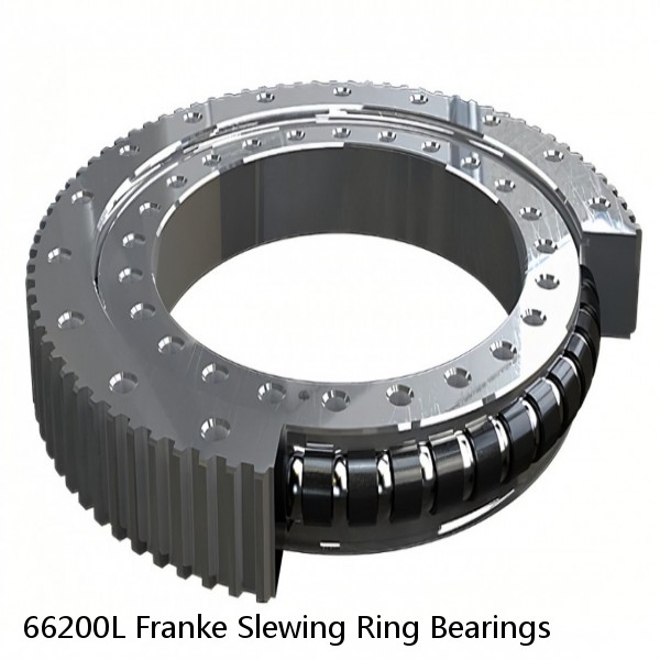 66200L Franke Slewing Ring Bearings