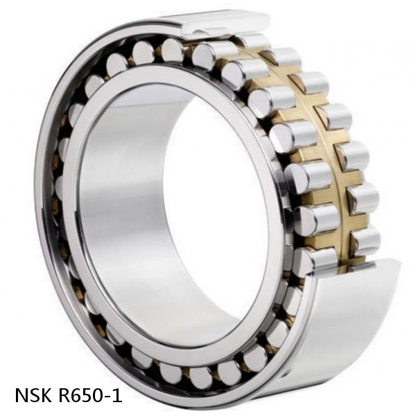 R650-1 NSK CYLINDRICAL ROLLER BEARING