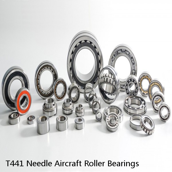 T441 Needle Aircraft Roller Bearings