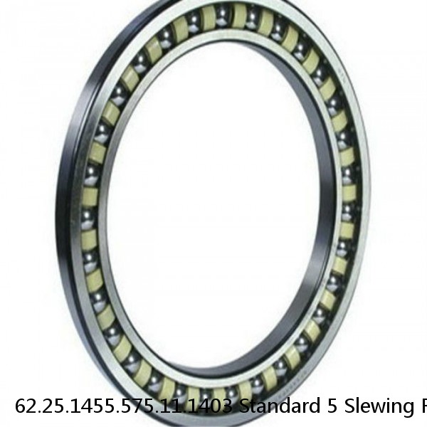 62.25.1455.575.11.1403 Standard 5 Slewing Ring Bearings