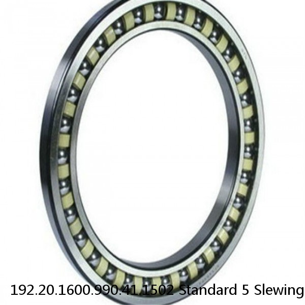 192.20.1600.990.41.1502 Standard 5 Slewing Ring Bearings