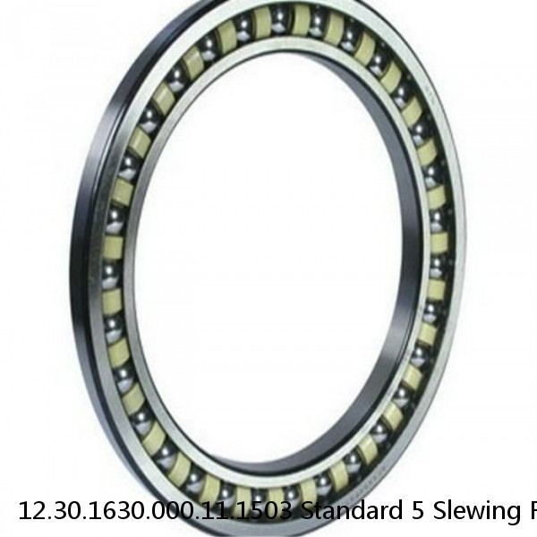 12.30.1630.000.11.1503 Standard 5 Slewing Ring Bearings