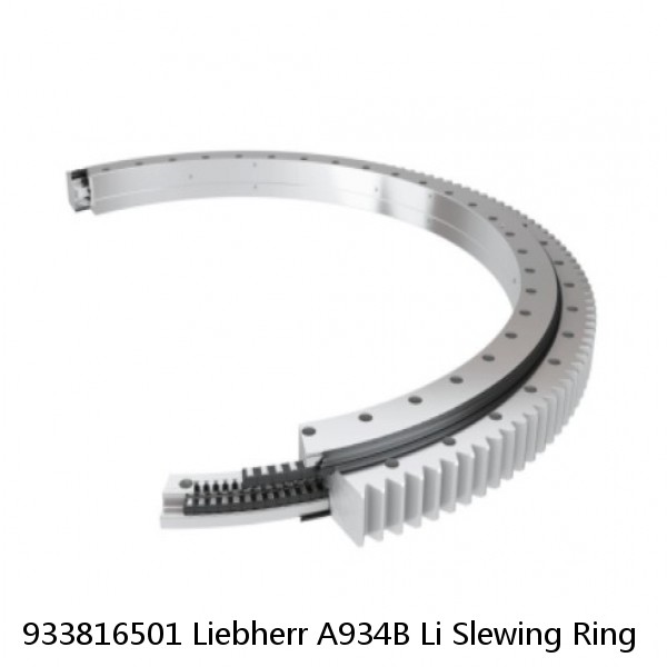 933816501 Liebherr A934B Li Slewing Ring