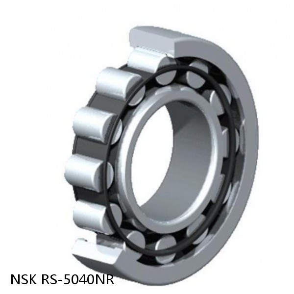 RS-5040NR NSK CYLINDRICAL ROLLER BEARING