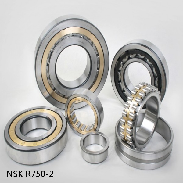 R750-2 NSK CYLINDRICAL ROLLER BEARING