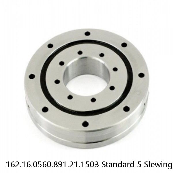 162.16.0560.891.21.1503 Standard 5 Slewing Ring Bearings