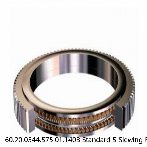 60.20.0544.575.01.1403 Standard 5 Slewing Ring Bearings