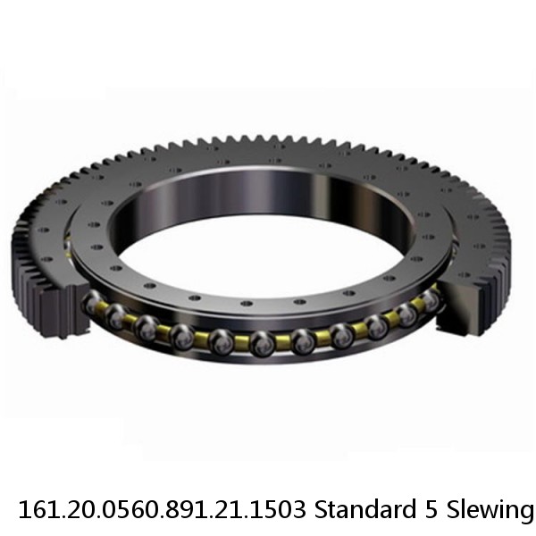 161.20.0560.891.21.1503 Standard 5 Slewing Ring Bearings