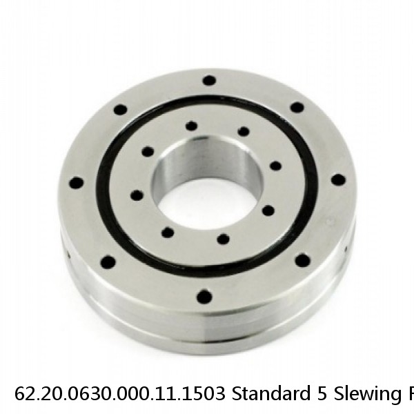 62.20.0630.000.11.1503 Standard 5 Slewing Ring Bearings