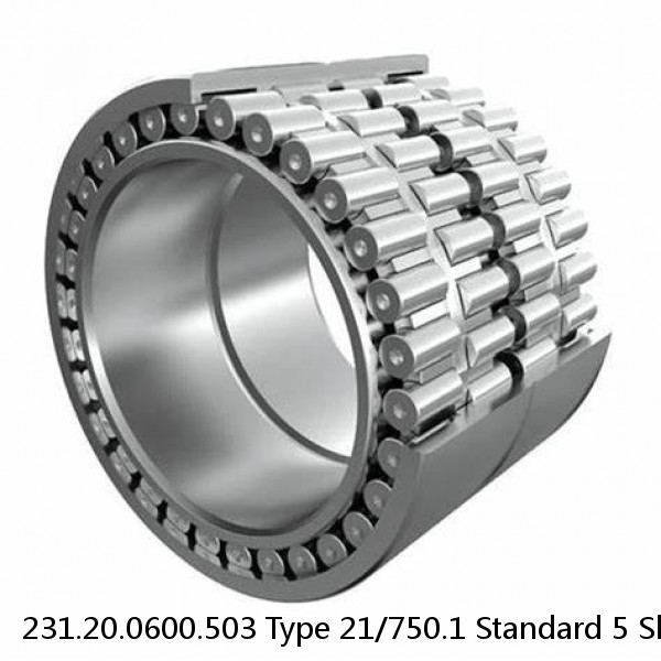 231.20.0600.503 Type 21/750.1 Standard 5 Slewing Ring Bearings