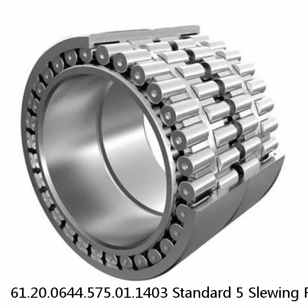 61.20.0644.575.01.1403 Standard 5 Slewing Ring Bearings