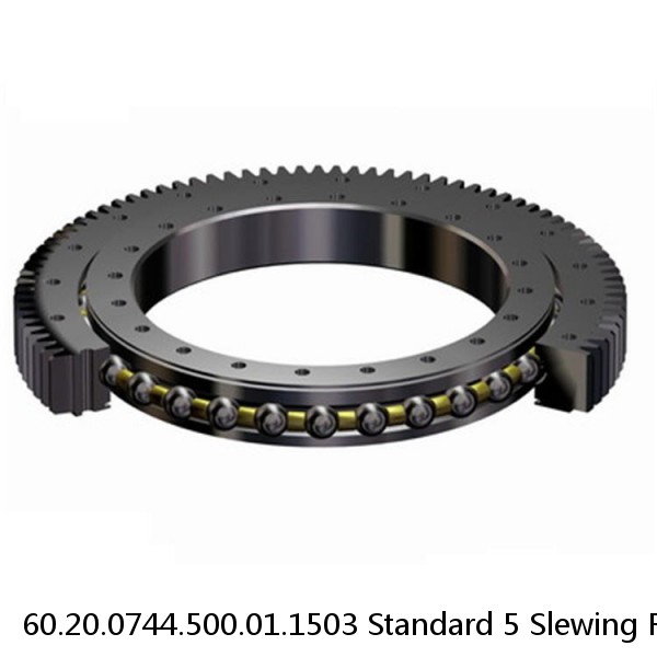 60.20.0744.500.01.1503 Standard 5 Slewing Ring Bearings