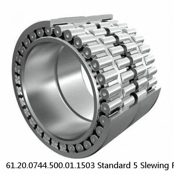 61.20.0744.500.01.1503 Standard 5 Slewing Ring Bearings