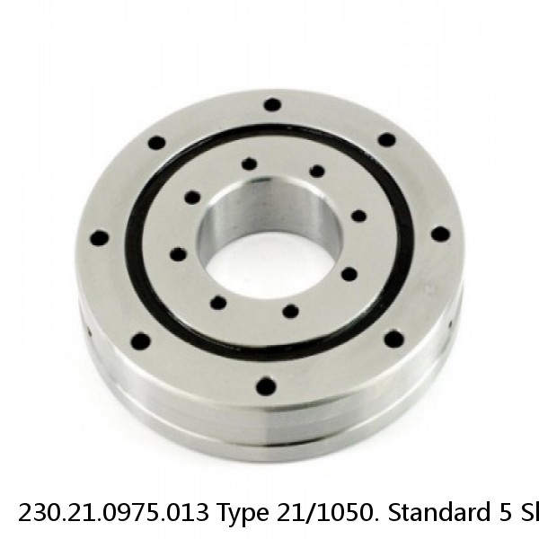 230.21.0975.013 Type 21/1050. Standard 5 Slewing Ring Bearings