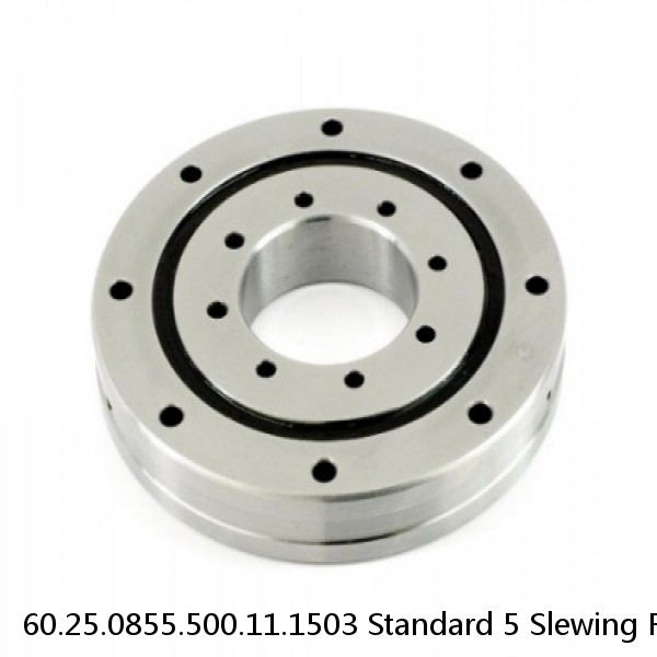 60.25.0855.500.11.1503 Standard 5 Slewing Ring Bearings