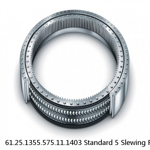 61.25.1355.575.11.1403 Standard 5 Slewing Ring Bearings