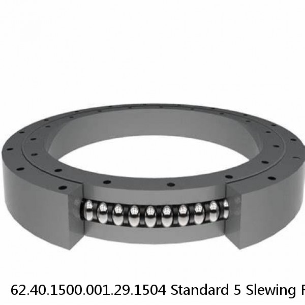 62.40.1500.001.29.1504 Standard 5 Slewing Ring Bearings