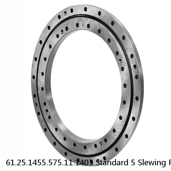 61.25.1455.575.11.1403 Standard 5 Slewing Ring Bearings