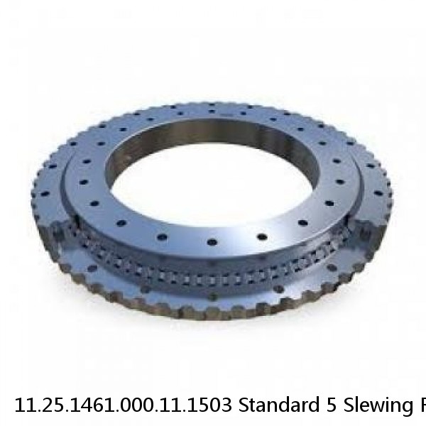 11.25.1461.000.11.1503 Standard 5 Slewing Ring Bearings