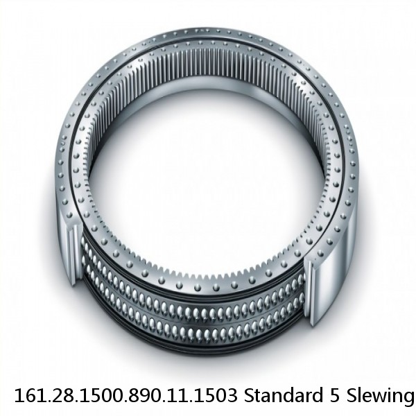 161.28.1500.890.11.1503 Standard 5 Slewing Ring Bearings