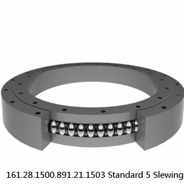 161.28.1500.891.21.1503 Standard 5 Slewing Ring Bearings