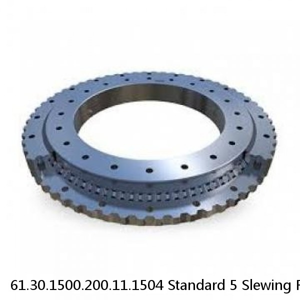 61.30.1500.200.11.1504 Standard 5 Slewing Ring Bearings