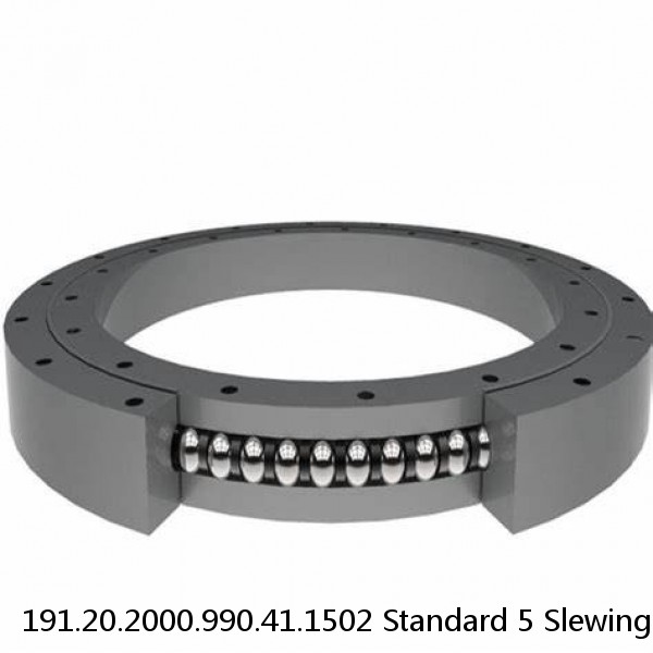 191.20.2000.990.41.1502 Standard 5 Slewing Ring Bearings