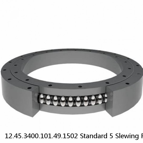 12.45.3400.101.49.1502 Standard 5 Slewing Ring Bearings