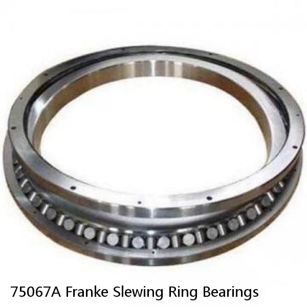 75067A Franke Slewing Ring Bearings