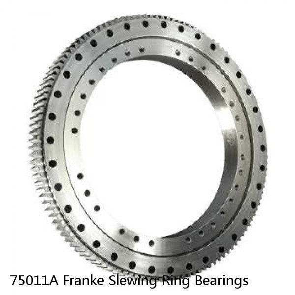 75011A Franke Slewing Ring Bearings