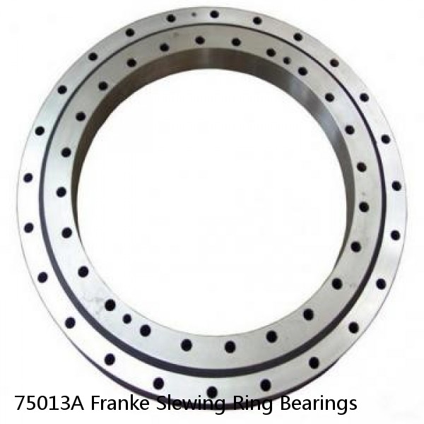 75013A Franke Slewing Ring Bearings