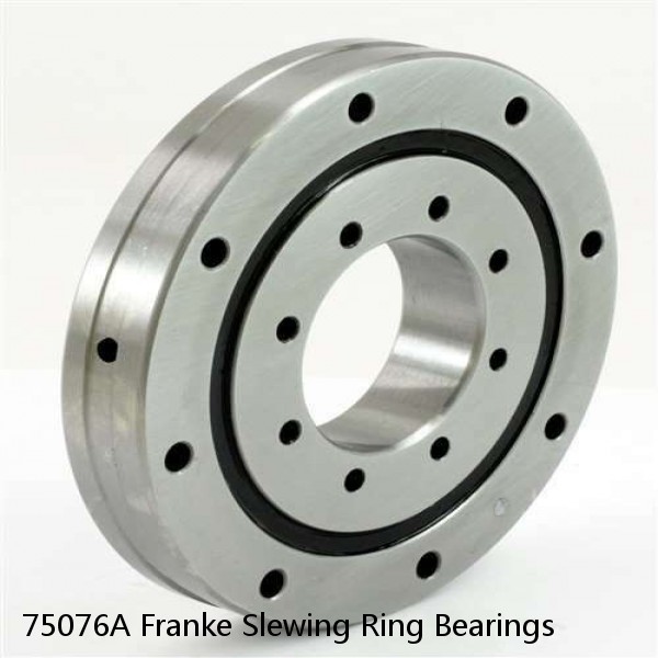 75076A Franke Slewing Ring Bearings