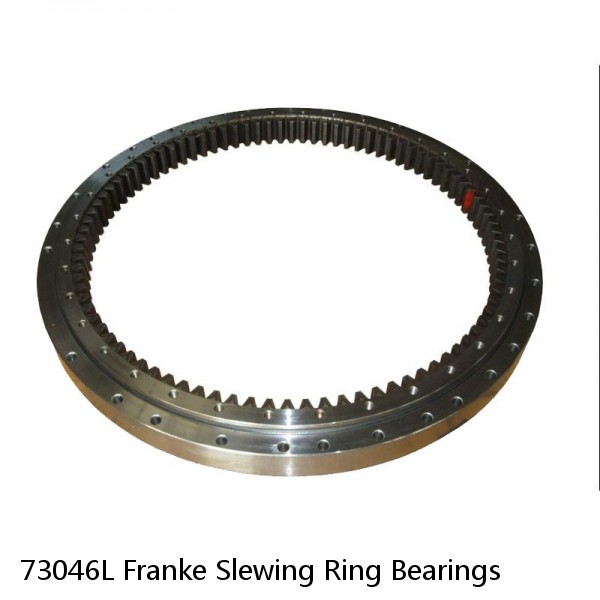 73046L Franke Slewing Ring Bearings