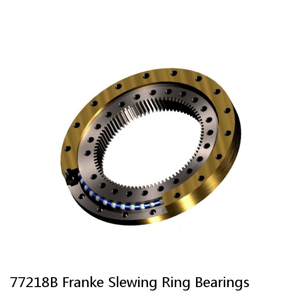 77218B Franke Slewing Ring Bearings