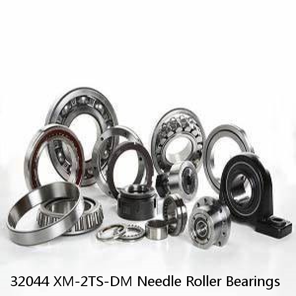 32044 XM-2TS-DM Needle Roller Bearings